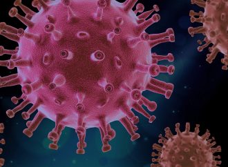 Univerzitná nemocnica v Martine spustila špecializovaný web o koronavíruse