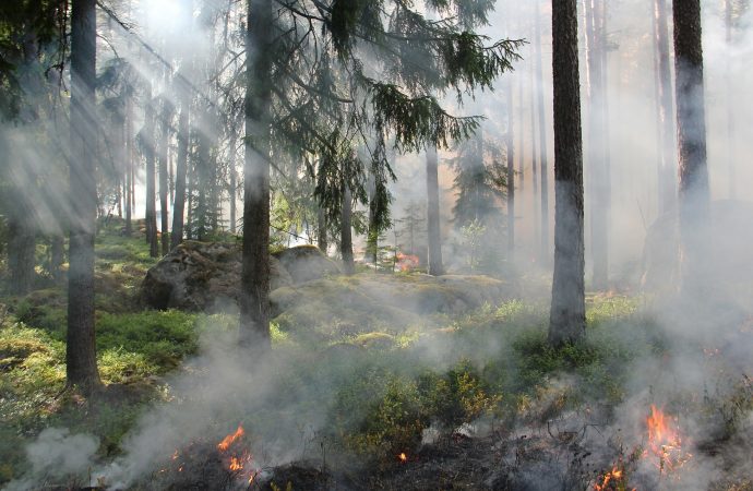 Odvolanie času zvýšeného nebezpečenstva vzniku požiaru v okrese Čadca a Kysucké Nové Mesto