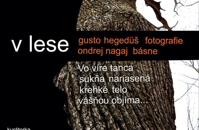 Slovenské národné múzeum pozýva na fotovýstavu V lese
