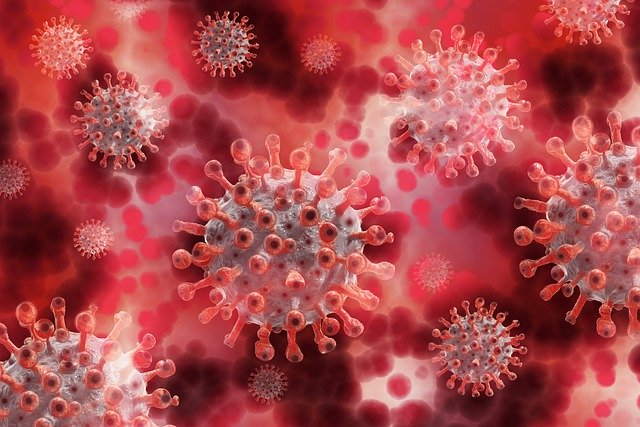 Koronavírus bol potvrdený u jedného zamestnanca Mestského úradu v Ružomberku