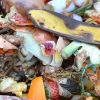 Kompostovanie biologicky rozložiteľného odpadu v obci Divinka-Lalinok