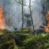 Zabezpečenie ochrany lesov a lesných porastov pred požiarmi