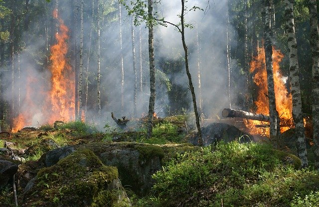Čas zvýšeného nebezpečenstva vzniku požiarov v územnom obvode okresu Čadca a Kysucké Nové Mesto