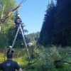 Profesionálny zásah DHZ Horný Kelčov pri odstraňovaní spadnutého stromu