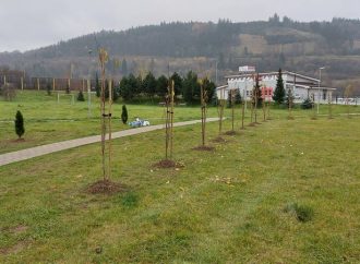 Mesto Bytča vysadilo 73 nových stromov