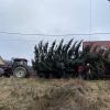 Obec Vysoká nad Kysucou opäť zdobí šesť vianočných stromčekov
