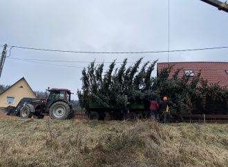 Obec Vysoká nad Kysucou opäť zdobí šesť vianočných stromčekov