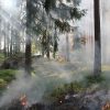  Opatrenia a základné požiadavky na zabezpečenie ochrany lesov pred požiarmi