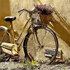 Bicyklománia inak. Ozdobte obec Čierne bicyklom