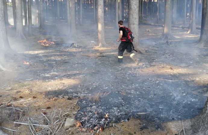 Členovia DHZ Vysoká nad Kysucou a DHZ Horný Kelčov zasahovali pri lesných požiaroch