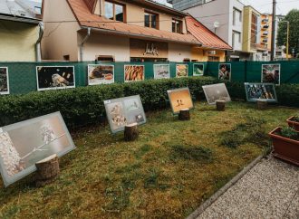Oravská knižnica Antona Habovštiaka spúšťa dve nové výstavy zamerané na ochranu životného prostredia