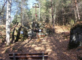 Príroda lieči: Lesopark v Hrboltovej