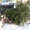 Mesto zabezpečí odvoz použitých vianočných stromčekov, zber začne 17. januára