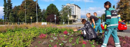 Zelená revolúcia: v Liptovskom Mikuláši vysadili minulý rok 100 stromov a 21 tisíc kvetov